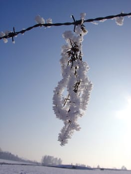 Frosty