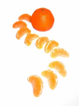 Tangerine Trail