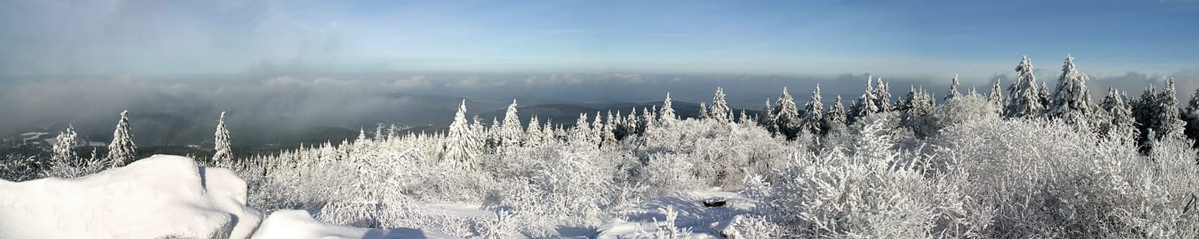 Recorded on 19.01.2006 on the Kleiner Feldberg in the Taunus. There was a gloomy soup in Frankfurt,but up here a thin fog drifted around,always broken by the sun. This resulted in very changeable but interesting lighting conditions