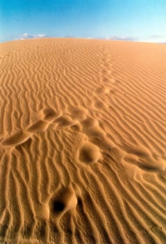 Traces...