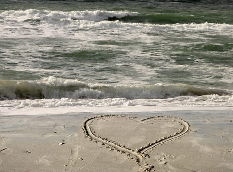 seacat's contribution to Valentine's Day. Love forever or is it ephemeral? My love has lasted since 1968 :-) Who offers more!