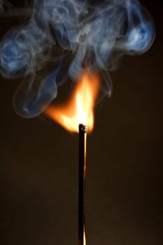 Ignited 5