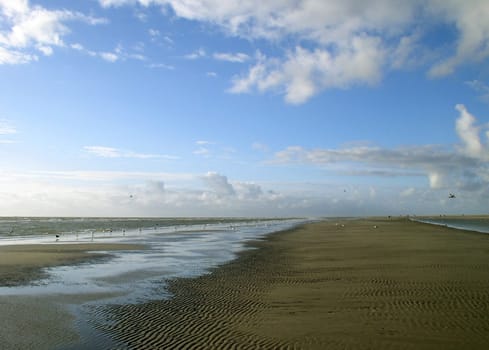 Ocean