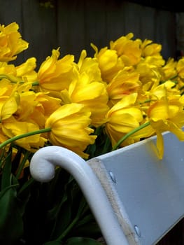 Spring...
