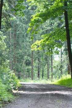 The long way home
