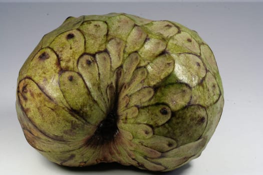 Cherimoya I