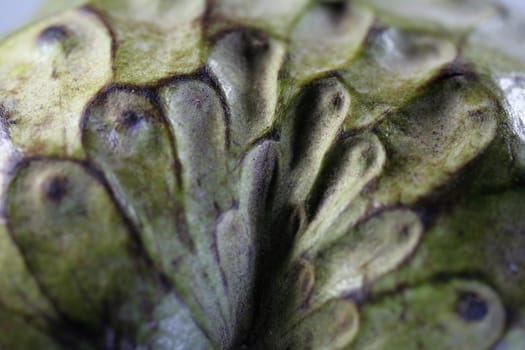 Cherimoya closeup