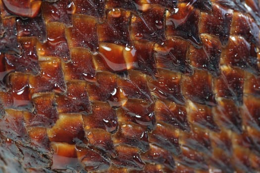 Snake Fruit Macro II