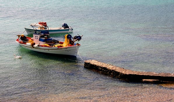 Fishing boats