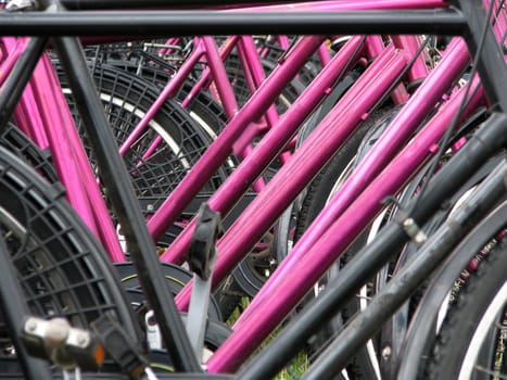 Used by sailors to get around in the ports: rental bicycles.