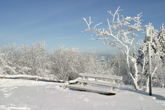 Auf dem Feldberg,Taunus,on 19.01.2006