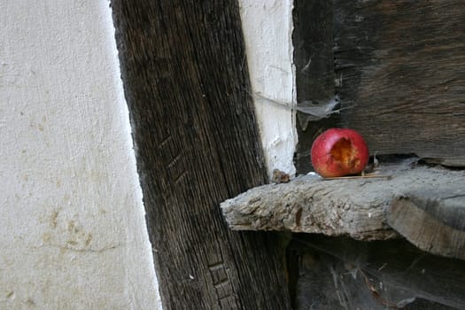 Fallen fruit in a corner of a house