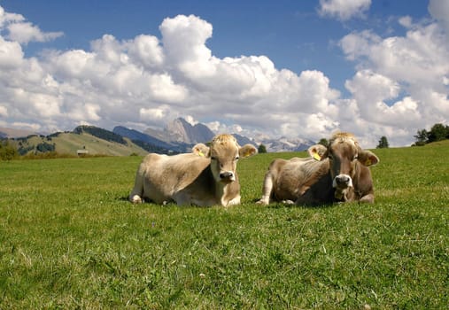 Peace and quiet on the Alpe di Siusi