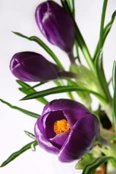 Springtime