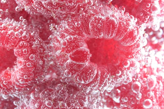 Raspberry Shower I