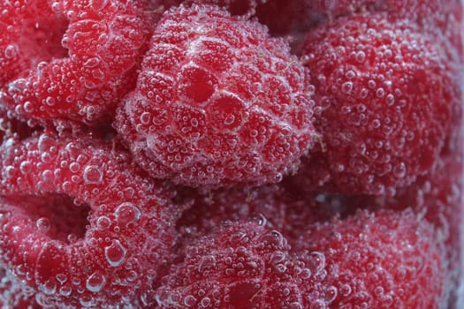 Raspberry Shower III