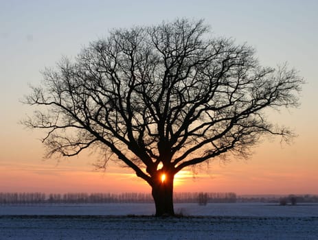 Today I was once again with Dirk and Ello at our tree in front of Salzkotten... It was beautiful... and cold!!! Greeting Bea