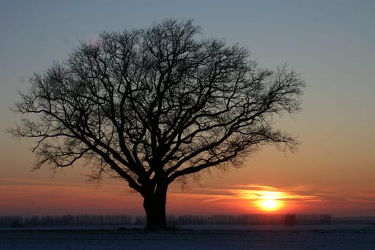 I'm interested in your opinion,which one do you like best about the composition of the picture? Greeting Bea