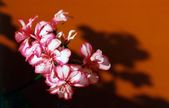 Light and shadow