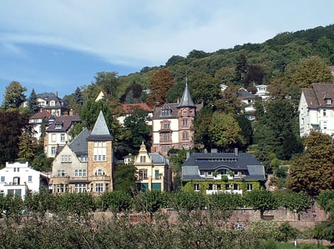 Heidelberg 1