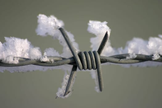 Detail of a barbed wire fence in winter