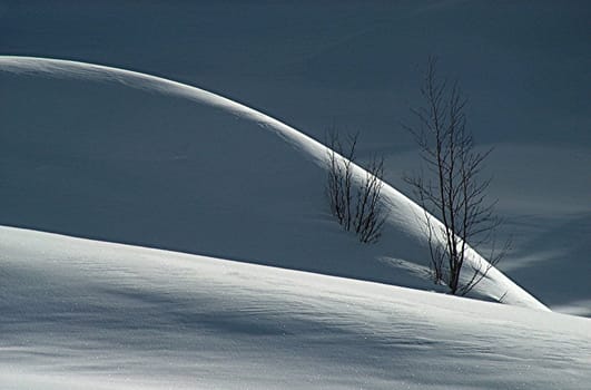 winter or winter snow or winter ice or winter deep snow