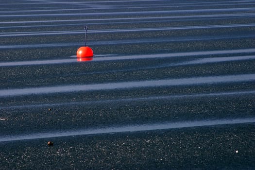 Buoy