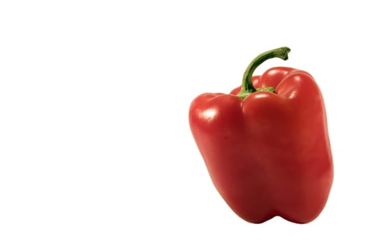 And another bell pepper