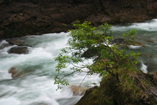 Rapids in the Breitachklamm gorge