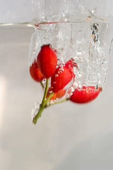 Hagebutton in water bath