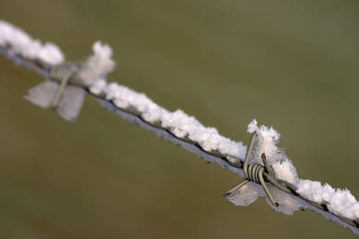 Detail of a barbed wire fence in winter