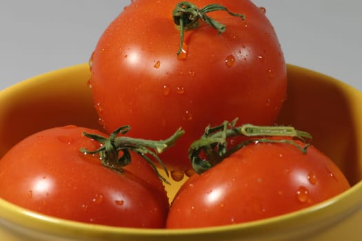 Three freshly washed tomatoes in a yellow bowl