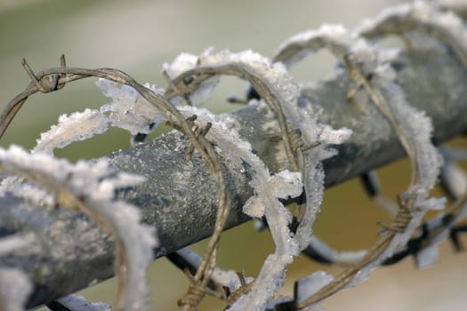 Detail of a barbed wire fence in winter