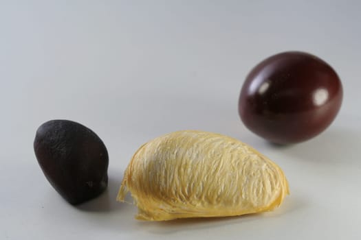 Exotic Seeds Trio