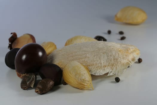 Exotic seeds variety
