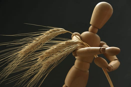 Harvest worker