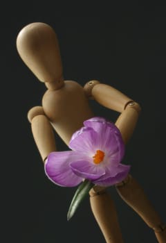 Harbinger of spring
