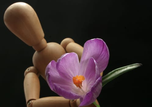 Giving flowers