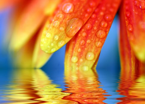 I've dealt with the water effect,here are my first results  ) Hope you like it :-P