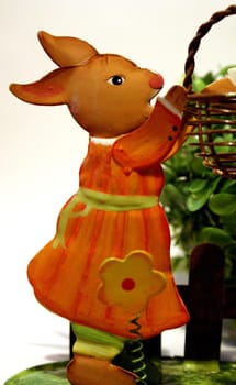 Bunny