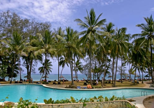 Palm Garden