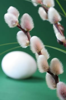 fluffy Easter