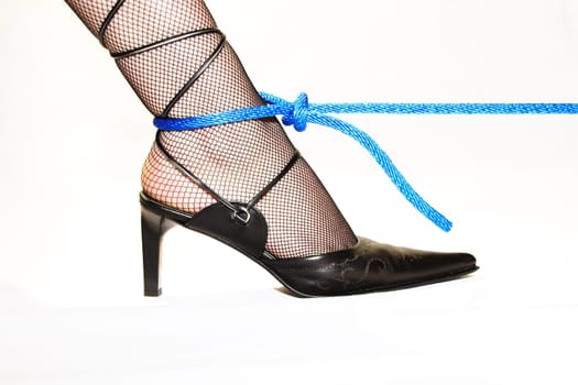 On a leash 4