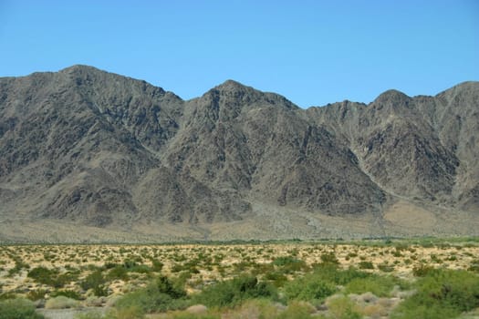 Nevada Desert
