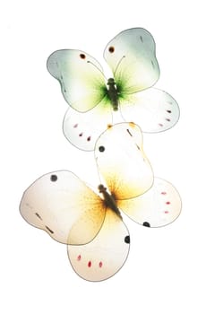 Butterflies