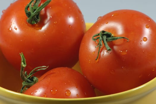 Three freshly washed tomatoes in a yellow bowl