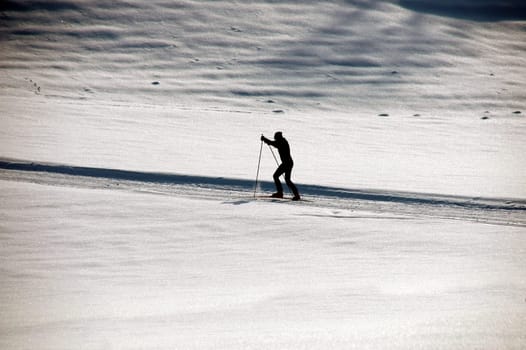 Cross-country skiers2