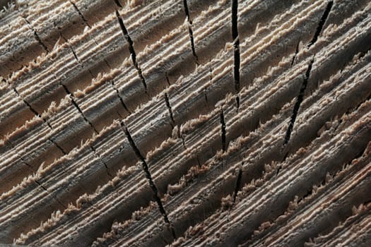 Wood diagonal saw marks