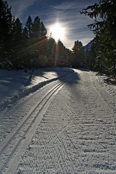 towards the sun...