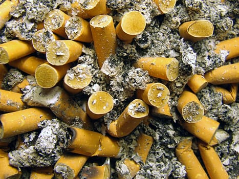Ashtray Contents